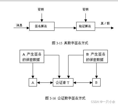 計算機網絡安全 技術開發與應用期末綜述